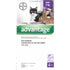 Bayer Advantage for Cats over 8.8 lbs (4kg) | VetBarn