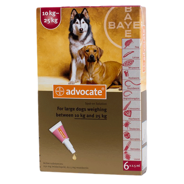 Advocate flea and heartworm Spot-on For Large Dogs 22-55 lbs
