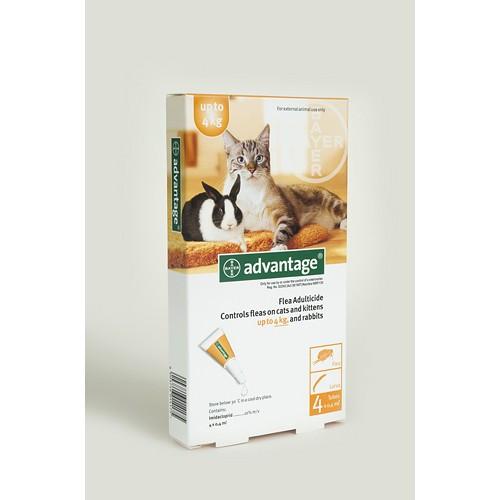 Bayer Advantage for Cats, kittens and rabbits up to8.8 lbs (4kg) | VetBarn