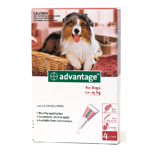 Bayer Advantix Large Dogs 22-55 lbs (10-25kg) | VetBarn