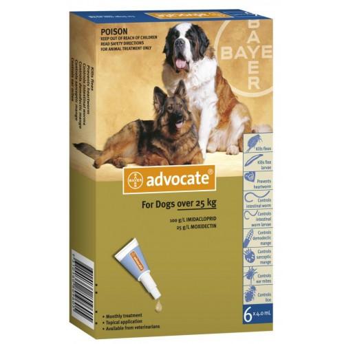 Bayer Advocate for X-Large Dogs 55-88 lbs (25-40 kg)- 6 pack | VetBarn