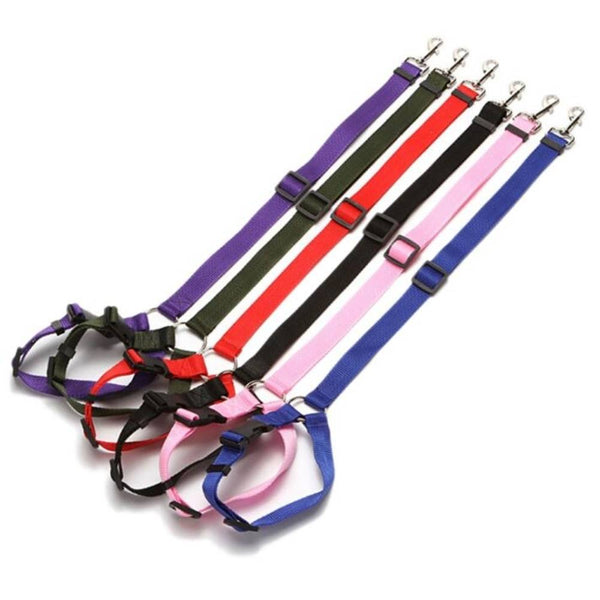 Wiggles Adjustable Safety Dog Car Seat Belt  | ozpetworld.com