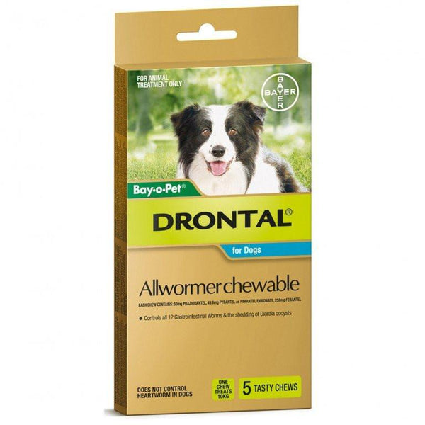Drontal AllWormer Chew for Dogs 22lbs (10kg) 5 Tasty Chew Pack | VetBarn