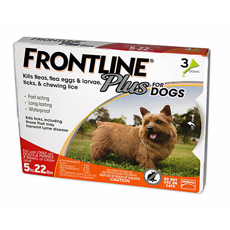 Flea and Tick Prevention - Frontline Plus Spot-on for Small Dogs below 20lb