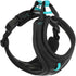 Gooby Lite Gear Harness Black | ozpetworld.com