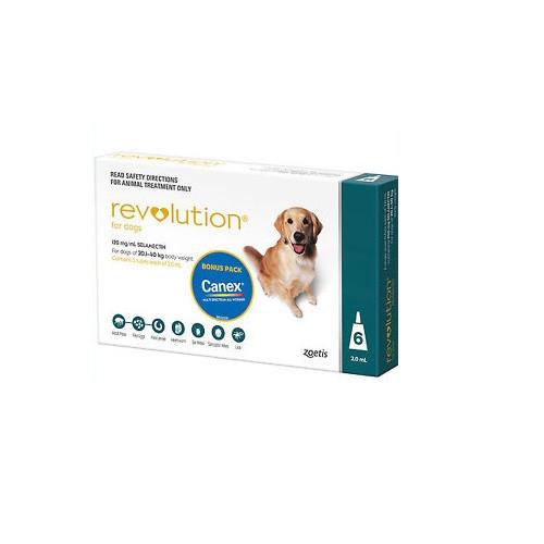 Revolution (Teal) for Dogs 40.1-85lbs (20.1-40kg)