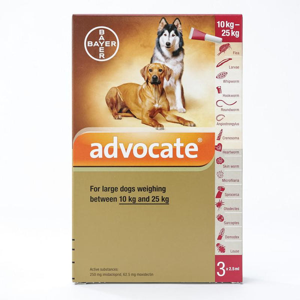 Bayer Advocate for Medium Dogs 22-55 lbs (10 - 25 kg) | VetBarn