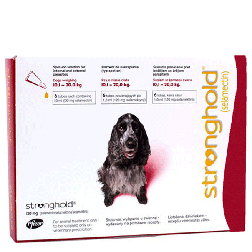 Zoetis StrongholdRed For Dogs 22-44 lbs (10-20 kg) | VetBarn