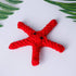 Wiggles Knot Cotton Rope Dog Toy Starfish | ozpetworld.com