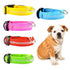 Wiggles USB Led Dog Collar | ozpetworld.com