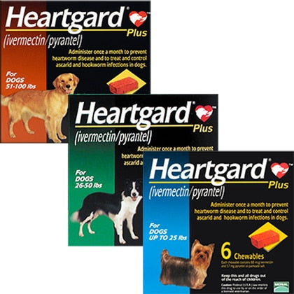 Heartgard Plus Chewables Heartworm Roundworm & Hookworm Treatment For Dog