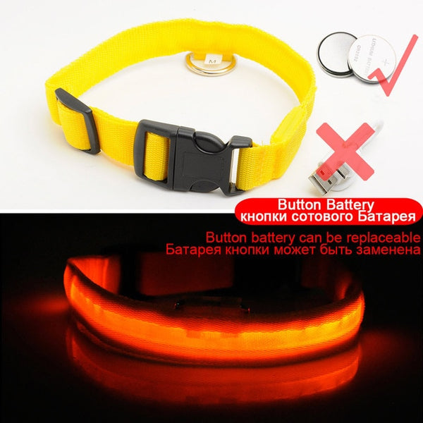 USB Charging Led Dog Collar Anti-Lost/Avoid Car Accident Collar For Dogs Puppies Dog Collars Leads LED Supplies Pet Products